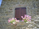 BORGO LE 4 STAGIONI - CORTONA - VUE EXTERIEURE